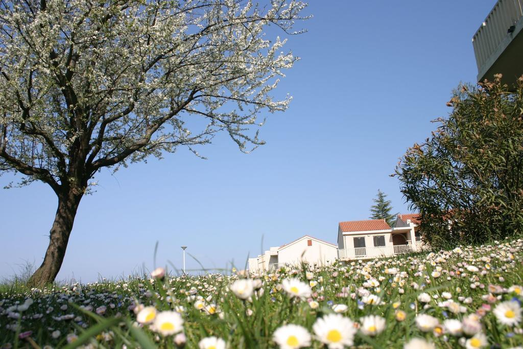 Apartments Polynesia Plava Laguna Umag Dış mekan fotoğraf